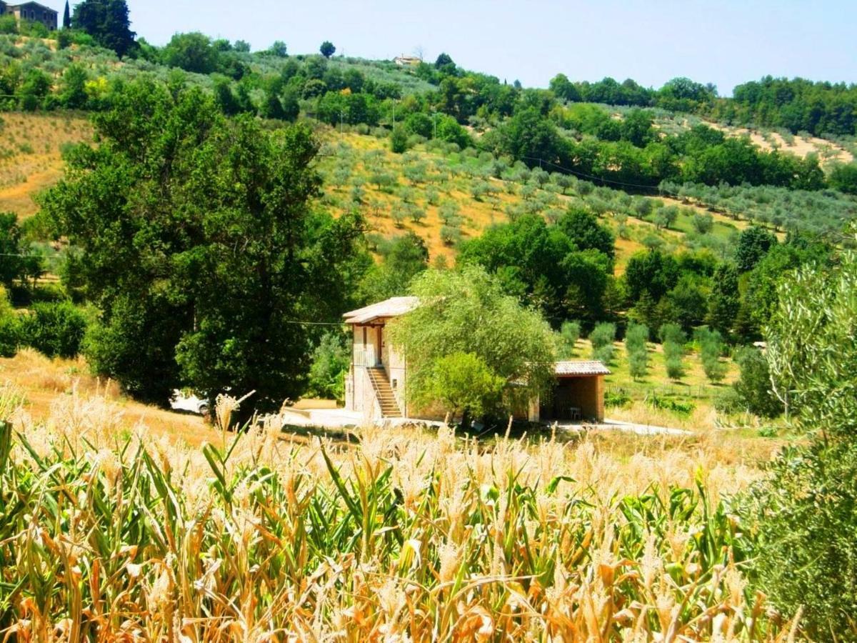 Appartamenti Verde Collina Umbra Bevagna Ngoại thất bức ảnh